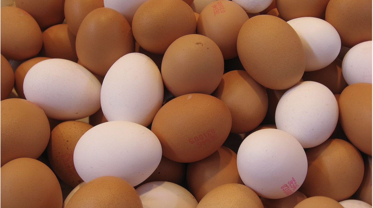 An image of eggs | Via CreativeCommons